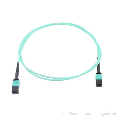 MPO / MTP Connector Interface Patchcord